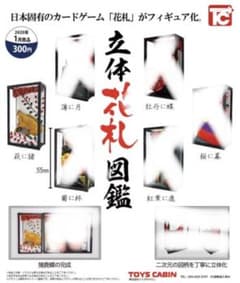 立体花札図鑑のサムネイル
