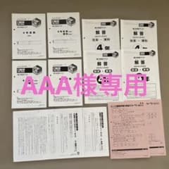AAA 様専用 2025年 日能研 4年 ステージⅡ育成テスト他 - メルカリ