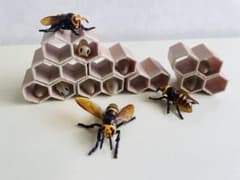 スズメバチカプセルトイのサムネイル