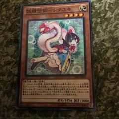 遊戯王 シラユキ 専用のサムネイル