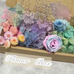 パステルグラデーション プリザーブドフラワー 花材セットのサムネイル