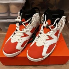 JORDAN6 ゲータレードのサムネイル