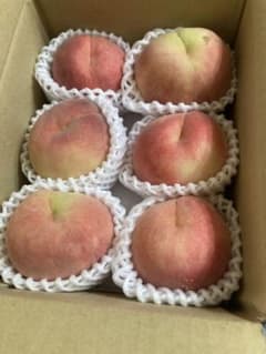 259早勝ち福島産朝採り硬い桃箱込み2kg硬くて美味しい桃訳あり家庭用