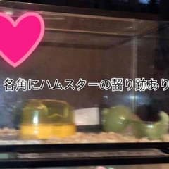 ハムスターゲージのサムネイル