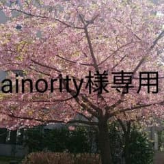 ainority様専用のサムネイル