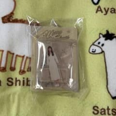 n*y님 노기자카46 고백성 마오 미니어처 키홀더