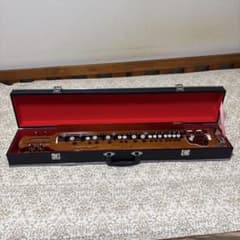 琴伝流 大正琴 かえで本体 ハードケース付き - メルカリ