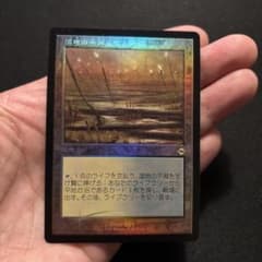 MTG 発掘 foil 英語 旧枠 希少　メルカリ便　即日発送 Mtg Marsh Flats 旧枠 foil 日本産ブースター - メルカリ