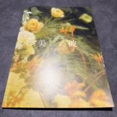 劇場版 美しい彼 エターナル パンフレットのサムネイル
