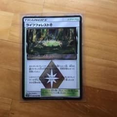 ポケモンカード ライフフォレスト prのサムネイル