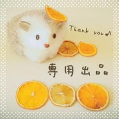 さしみちゃん様専用のサムネイル