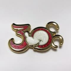 激レア】東京ディズニーリゾート 30周年 記念 ピンバッジ ランヤード