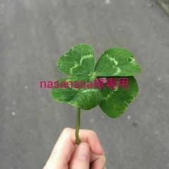 ヴィヴィアン アウターにも(*^^*)のサムネイル