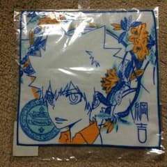 リボーン ツナのミニタオルのサムネイル