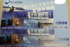新江ノ島水族館　チケット2枚のサムネイル