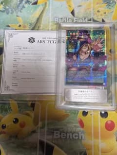 ars10鑑定書付き】 黒魔導のカーテン オーバーフレーム プリシク