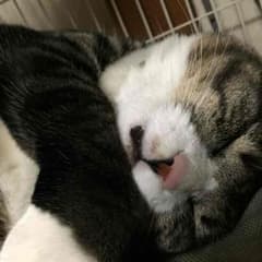 R.♡さん専用のサムネイル