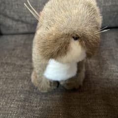 ぬいぐるみ カワウソ A-SHOWのサムネイル