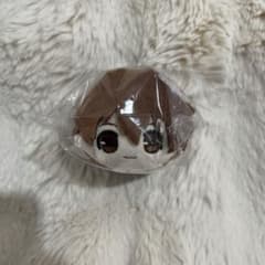 가정 교사 히트맨 REBORN! 고로린 마스코트 사와다 츠나요시