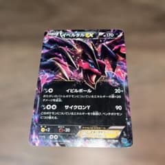 イベルタルEX ポケモンカード 170HPのサムネイル