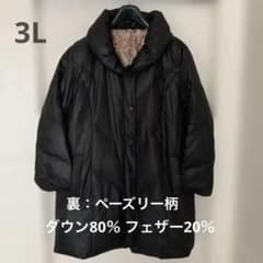 ダウンコート 黒 裏地 ペイズリー柄　 3L 大きいサイズ 軽量のサムネイル