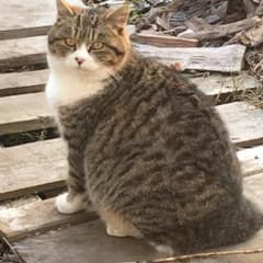 ななさん返金用のサムネイル