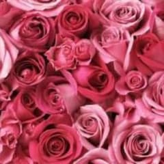 VVVanissy様専用ページのサムネイル