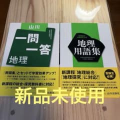 【新品未使用品】山川 一問一答 地理・地理用語集 2冊セットのサムネイル
