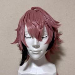 赤城ウェンコスプレウィッグ にじさんじ赤城ウェンコスプレ衣装ウィッグ
