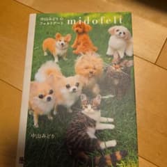 中山みどりのフェルトアート midofeltのサムネイル