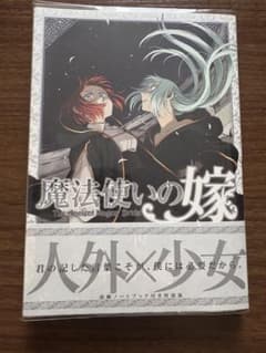 魔法使いの嫁19のサムネイル