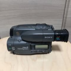 m46239362474_1.jpg?1775457904