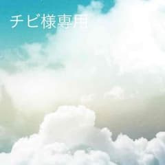 アディダスＴシャツのサムネイル
