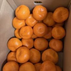 しもつ蔵出しみかん　家庭用　9kg 2L以上のサムネイル