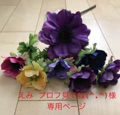 【えみ プロフ見てね(^.^)様 専用ページ】のサムネイル