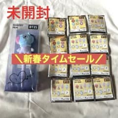 BT21 미개봉! (마스코트 펜과 캔 배지 12 개)