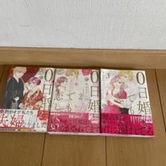 0日婚でも恋したいのサムネイル