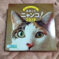 日めくりニャンコ！2019 カレンダーのサムネイル