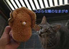 つぶらな瞳のなまがき　へんしんぬいぐるみ　リバーシブル　ベビーなまがき