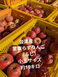 会津産　葉取らずりんご（ふじ）約10キロのサムネイル