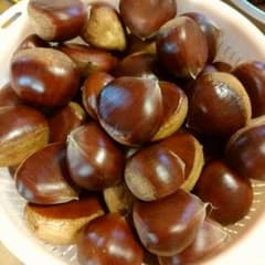 採れたて栗♡1300グラムのサムネイル