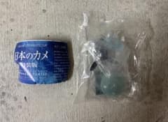 ［未開封］日本のカメ特装版　アオウミガメ(幼体)のサムネイル