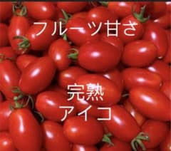 アイコ ミニトマト　農薬使わずのサムネイル