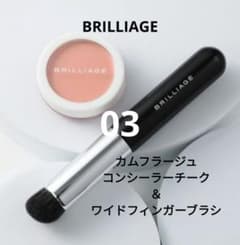 ブリリアージュ カモフラージュコンシーラーチーク 03＆ ワイド