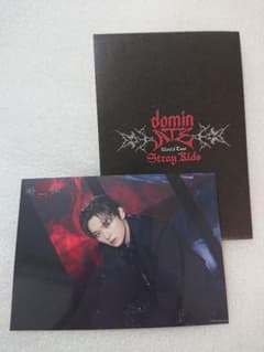 Stray Kids  World Tour dominATE ラントレのサムネイル