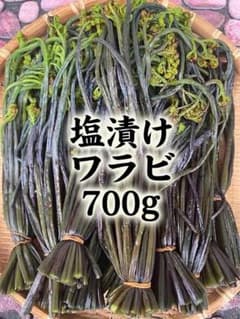 塩漬けワラビ 700gアク抜き済　北海道産山菜野菜のサムネイル