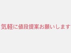 ポンチョを着たイーブイ ２枚売り　個別売りできますのサムネイル