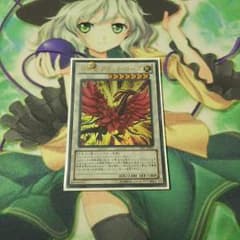 遊戯王   月華竜ブラックローズのサムネイル