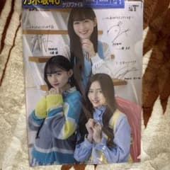 乃木坂46 サイン入りクリアファイルのサムネイル