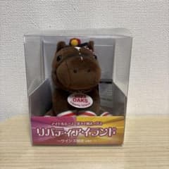 アイドルホース リバティアイランド 第84回オークスのサムネイル